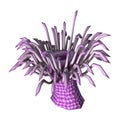 3D Rendering Sea Anemone on White Royalty Free Stock Photo