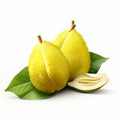 Yellow Jackfruit Illustration On White Background