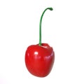 3D rendering of a single red cherry with a stem isolated on a white background Royalty Free Stock Photo