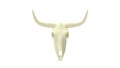 3d rendering of the skull of a cow ox isolated on a whitebackground