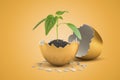 3d rendering of small green sprout growing from black soil in golden shell of golden egg that just hatched.