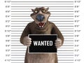 3D rendering of a smiling cartoon bear in a mugshot Royalty Free Stock Photo
