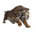 3D rendering of a Smilodon, the extinct pre-historic Sabre-tooth