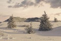 3d rendering of snow covered mountain landscape with snowcapped coniferous trees in the evening sunlight