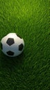 3D rendering Soccer ball basic pattern on vibrant green field Royalty Free Stock Photo