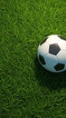 3D rendering Soccer ball basic pattern on vibrant green field Royalty Free Stock Photo