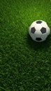 3D rendering Soccer ball basic pattern on vibrant green field Royalty Free Stock Photo