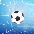 3D Rendering Soccer Ball Going Into Net Goal Front View, PNG File Add