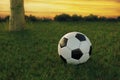3d rendering of soccer ball on green grass in the evening sunset Royalty Free Stock Photo