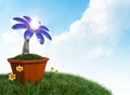 3D rendering Solar cells electric flower in a pot on grass field Royalty Free Stock Photo