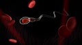 3d rendering sperm with blood cell, isolated on black