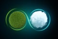 3d rendering of a sphere covered in green lawn next to a white round fluffy cloud with a light line traced around them Royalty Free Stock Photo