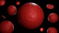 a red blood cell (RBC) that is spherical in shape or spherocyte