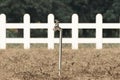 3d rendering of spigot on withered grass and garden