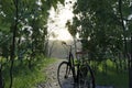 3d rendering of standing bicycle in front of forest path Royalty Free Stock Photo