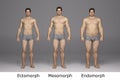 3D Rendering : 3 type of male body ,front view Royalty Free Stock Photo
