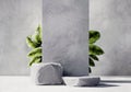 3D rendering stone platform podium with plant product presentation background