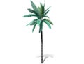 A tall palm tree isolated over a white background.