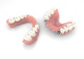 3D rendering teeth Royalty Free Stock Photo