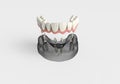 3D rendering teeth