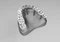 3D rendering teeth