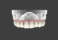 3D rendering teeth Royalty Free Stock Photo