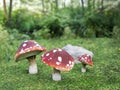 3D rendering of three fly agaric mushroom.