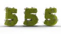 3D rendering of three green numbers five decorated with grass and flowers on a white background