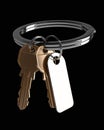 3d rendering of three metallic keys on a ring with a blank white tag, poised against a sleek black backdrop