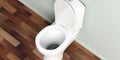 3d rendering toilet bowl