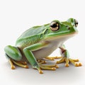 3D rendering of tree frog isolated on white background