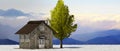 3d rendering tree and house in full leaf in winter against sky