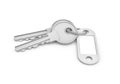 3d rendering of two isolated silver keys on a key ring with a blank label Royalty Free Stock Photo