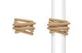 3d rendering of two pieces of natural rope wound around a post and around empty space.