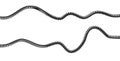 3d rendering of two strings of spiral rubber phone cables lying curled at a white background.