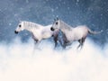 3D rendering of two white horses running in snow