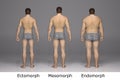 3D Rendering : 3 type of male body ,back view