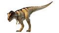 Tyrannosaurus-rex 3D