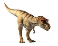 Tyrannosaurus-rex 3D