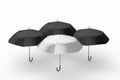 3d rendering, the umbrella with white background Royalty Free Stock Photo