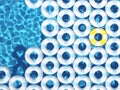 Unique yellow float ring between blue float rings in pool. 3d rendering Royalty Free Stock Photo