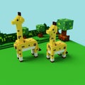 3d rendering voxel cube isometric of couple giraffes animal Royalty Free Stock Photo