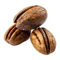 3D Rendering of a Walnuts Transparent Background - Ai Generated Royalty Free Stock Photo