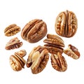 3D Rendering of a Walnuts Transparent Background - Ai Generated Royalty Free Stock Photo