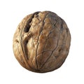 3D Rendering of a Walnuts on Transparent Background - Ai Generated Royalty Free Stock Photo