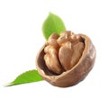 3D Rendering of a Walnuts on Transparent Background - Ai Generated Royalty Free Stock Photo