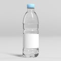 3D rendering water bottle with blank label