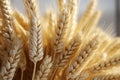 A 3D rendering of wheat sheaves in a close up bouquet