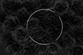 3d rendering of white circle frame over a lot black roses. Flat lay of minimal flower style concept Royalty Free Stock Photo