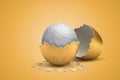 3d rendering of white fitball hatching out of golden egg on yellow background Royalty Free Stock Photo